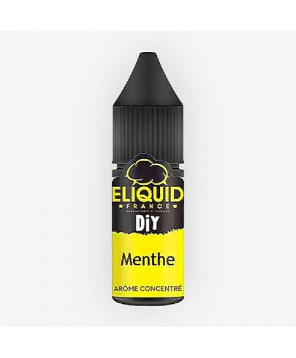 Menthe Arôme EliquidFrance 10ml