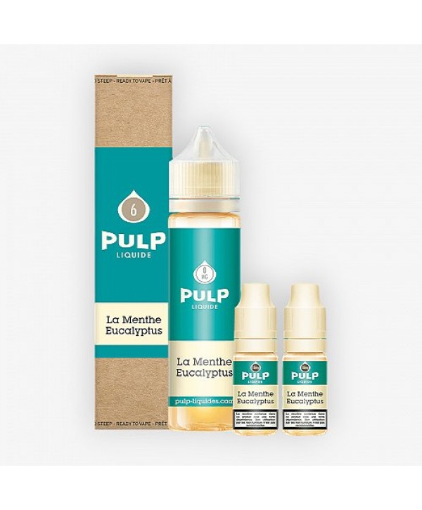 Pack 60ml La Menthe Eucalyptus Pulp - 06mg