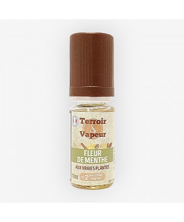 Fleur De Menthe Terroir & Vapeur 10ml