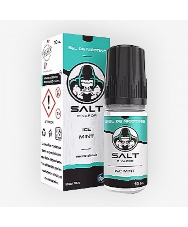 Ice Mint Salt E Vapor 10ml